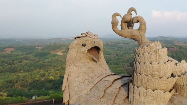 Дрон в Индии снял самую большую статую птицы на планете - Sputnik Абхазия