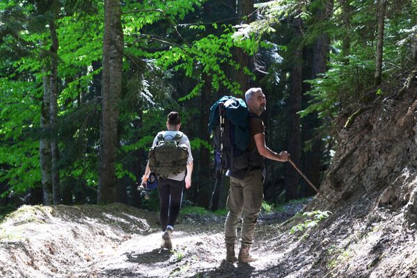 Туристы гуляют в лесу Северного отдела Кавказского государственного природного биосферного заповедника имени Х. Г. Шапошникова - Sputnik Абхазия