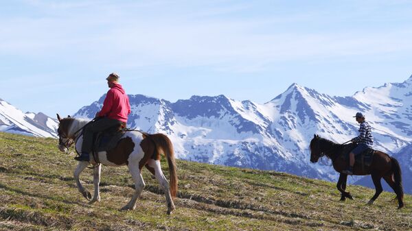 Конная прогулка на территории Северного отдела Кавказского государственного природного биосферного заповедника имени Х. Г. Шапошникова - Sputnik Абхазия