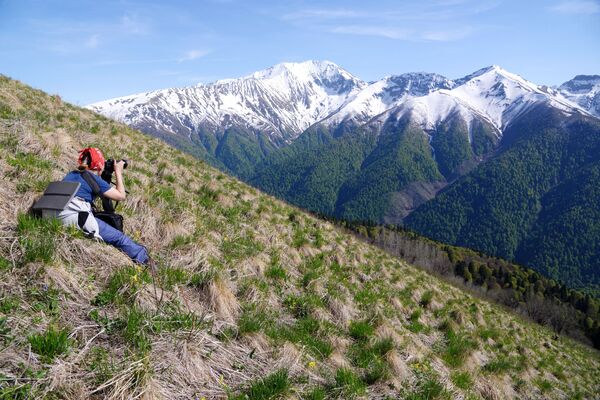 Девушка фотографирует пейзажи Кавказского государственного природного биосферного заповедника имени Х. Г. Шапошникова - Sputnik Абхазия