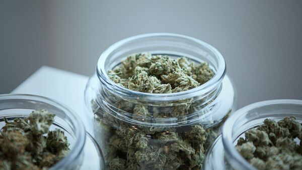 оон легализация марихуаны
