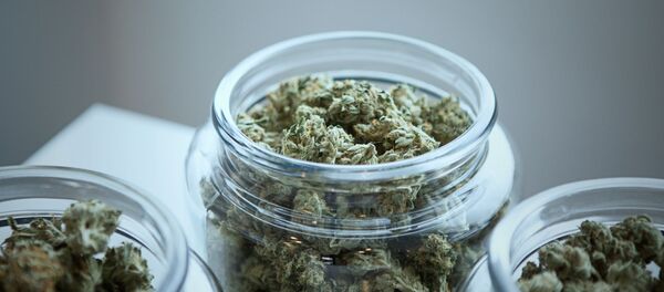 Марихуана  - Sputnik Абхазия