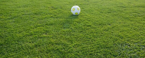 Футбольное поле - Sputnik Абхазия