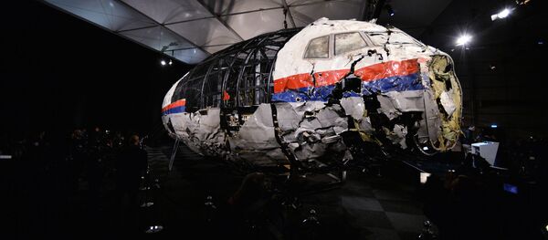 Доклад Совета безопасности Нидерландов по причинам крушения Boeing 777 Доклад Совета безопасности Нидерландов по причинам крушения Boeing 777 - Sputnik Абхазия