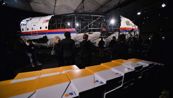 Доклад Совета безопасности Нидерландов по причинам крушения Boeing 777 - Sputnik Абхазия