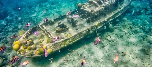 Затонувший буксир вблизи острова Кюрасао, Карибское море Затонувший буксир вблизи острова Кюрасао, Карибское море - Sputnik Абхазия