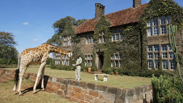 Жираф у бутик-отеля Giraffe Manor в Найроби  - Sputnik Абхазия