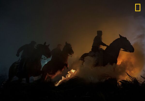 Снимок Horses фотографа Yoshiki Fujiwara, занявший второе место в категории People конкурса National Geographic Travel Photo 2019 - Sputnik Абхазия