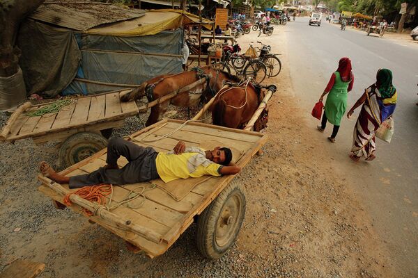 Владелец повозки на окраине города Прайаградж в Индии. - Sputnik Абхазия