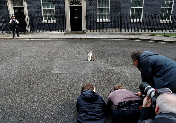 Журналисты фотографируют кота Ларри на Даунинг-стрит в Лондоне. - Sputnik Абхазия