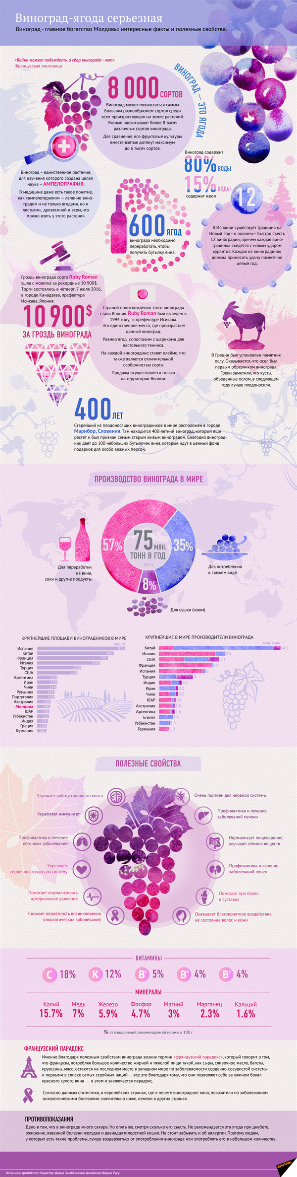Польза и вред винограда – инфографика на sputnik.by - Sputnik Абхазия