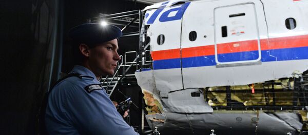 Доклад Совета безопасности Нидерландов по причинам крушения Boeing 777 Доклад Совета безопасности Нидерландов по причинам крушения Boeing 777 - Sputnik Абхазия