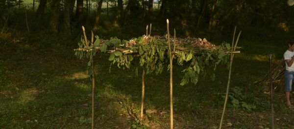 Фамильное моление Лейбавцев в селе Мгудзырхуа Фамильное моление Лейбавцев в селе Мгудзырхуа - Sputnik Аҧсны