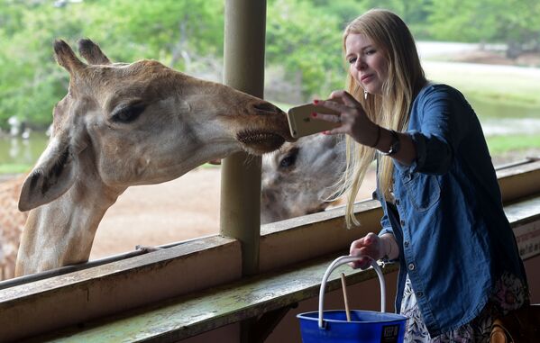 Туристка делает селфи с жирафом в зоопарке на окраине Бангкока - Sputnik Абхазия