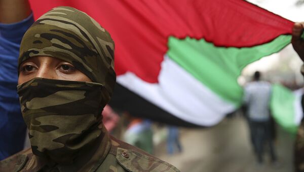 Боец в маске под флагом Палестины. Архивное фото - Sputnik Абхазия