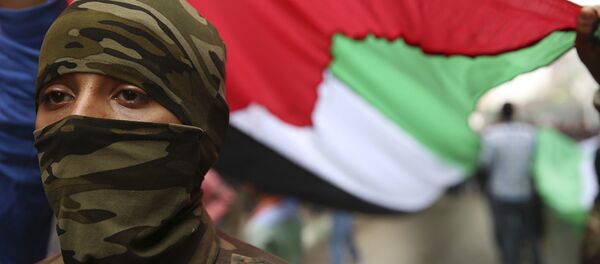Боец в маске под флагом Палестины. Архивное фото Боец в маске под флагом Палестины. Архивное фото - Sputnik Абхазия