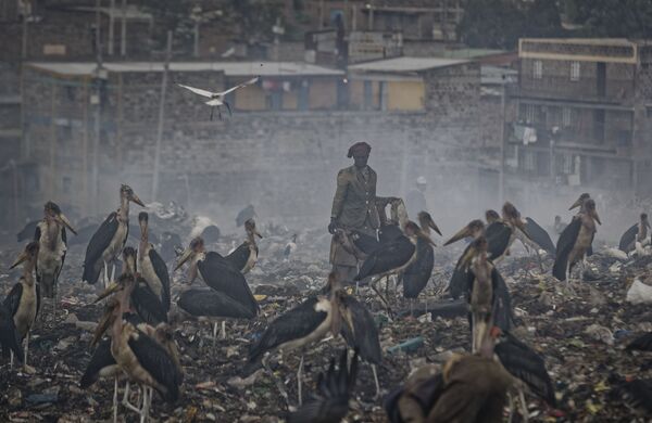 Женщина в облаке дыма от горящего мусора в окружении аистов Марабу на свалке в трущобах Найроби, Кения - Sputnik Абхазия