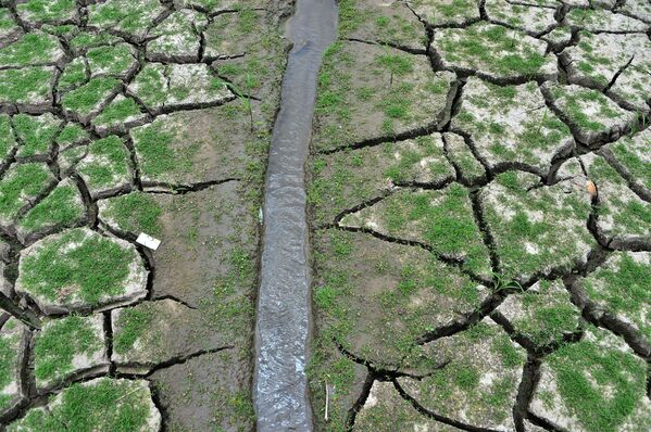 Иссохшая земля у водохранилища Лос-Лорелес в Тегусигальпе в апреле 2019 года - Sputnik Абхазия