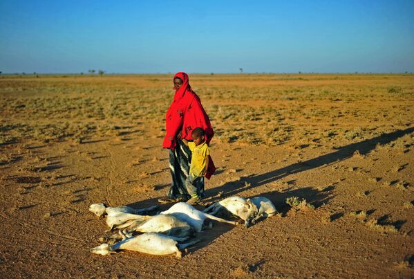 Женщина с ребенком проходят мимо стада мертвых коз в засушливой местности недалеко от Дахара в Пунтленде - Sputnik Абхазия