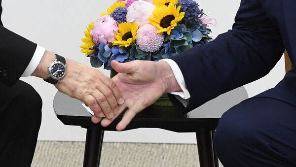 Рабочий визит президента РФ В. Путина в Японию для участия в саммите Группы двадцати - Sputnik Абхазия