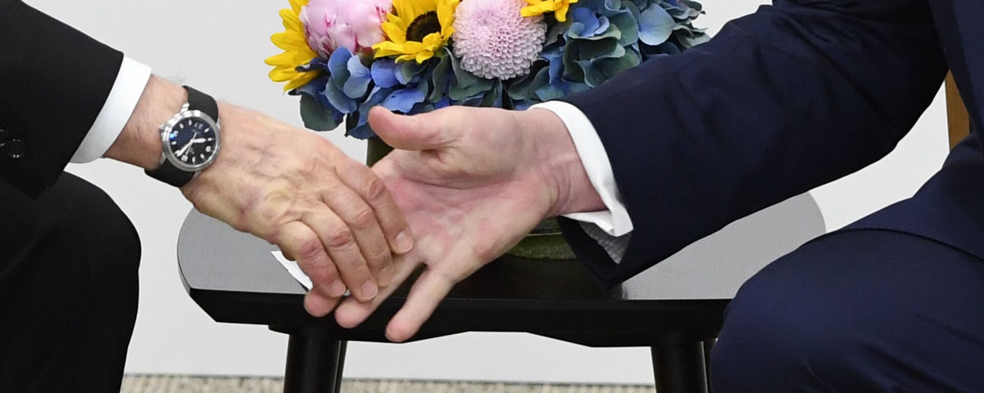 Рукопожатие президента РФ Владимира Путина и президента США Дональда Трампа (справа) во время встречи на полях саммита Группы двадцати в Осаке - Sputnik Абхазия, 1920, 02.08.2025