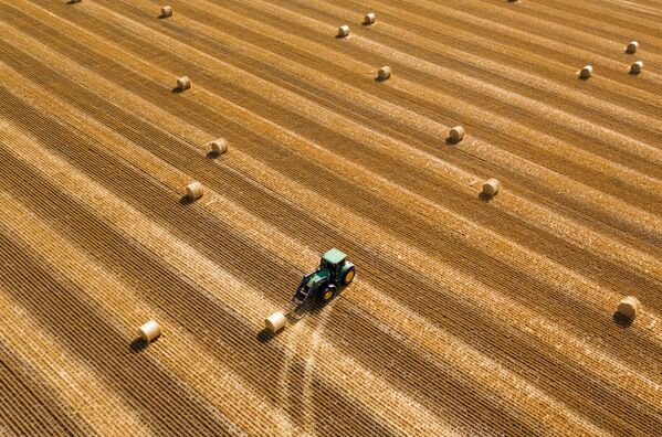 Заготовка рулонов сена на поле в Усть-Лабинском районе Краснодарского края - Sputnik Абхазия