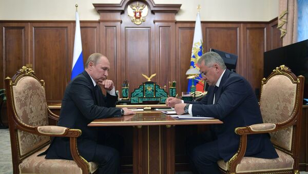 Президент РФ В. Путин встретился с министром обороны РФ C. Шойгу - Sputnik Абхазия