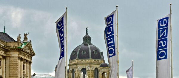 ОБСЕ - Sputnik Абхазия