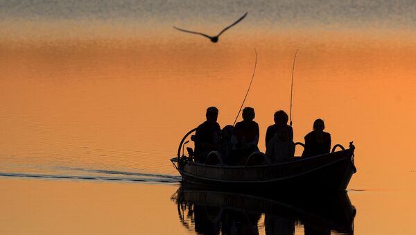 Местные рыбаки ловят рыбу на озере Лушяй недалеко от литовского города Игналина - Sputnik Абхазия