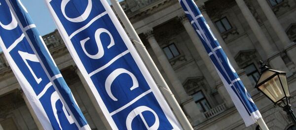 Флаги с логотипом ОБСЕ. Архивное фото - Sputnik Абхазия