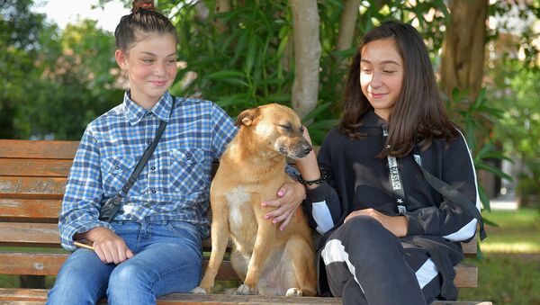 Дети с собакой - Sputnik Абхазия