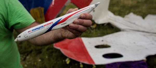 Поисковые работы на месте крушения малайзийского лайнера Boeing 777 в районе Шахтерска - Sputnik Абхазия