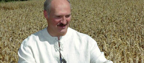 Александр Лукашенко во время посещения сельскохозяйственного производственного корпоратива Октябрь-Гродно Александр Лукашенко во время посещения сельскохозяйственного производственного корпоратива Октябрь-Гродно - Sputnik Абхазия