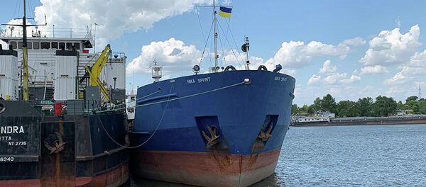 Задержанное российское судно в порту Измаила Задержанное российское судно в порту Измаила - Sputnik Абхазия