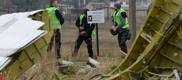 Голландские эксперты проводят работы на месте крушения малайзийского Boeing - Sputnik Абхазия