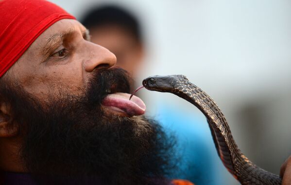 Индиец во время уличного представления со змеей на берегу реки Ганг в городе Аллахабад - Sputnik Абхазия