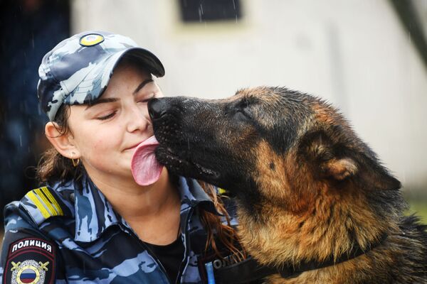 Кинолог со служебной собакой на соревнованиях кинологической службы в Забайкалье  - Sputnik Абхазия
