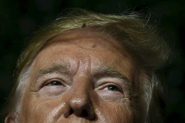 Муха в волосах президента США Дональда Трампа во время его выступления в Джеймстауне, штат Вирджиния - Sputnik Абхазия