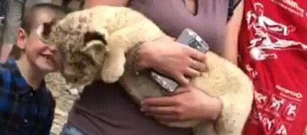 Фото львенка в Новом Афоне, которое вызвало возмущение у пользователей Facebook Фото львенка в Новом Афоне, которое вызвало возмущение у пользователей Facebook - Sputnik Абхазия