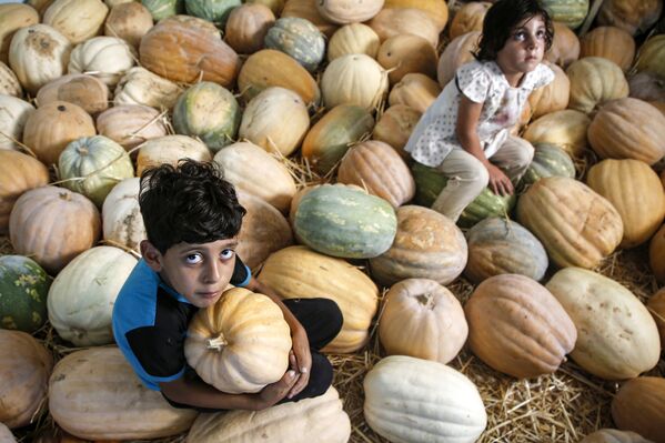 Палестинские дети среди урожая тыкв в городе Бейт-Лахия на севере сектора Газа - Sputnik Абхазия