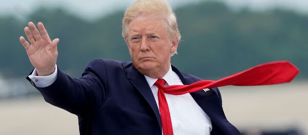 Дональд Трамп Дональд Трамп - Sputnik Абхазия