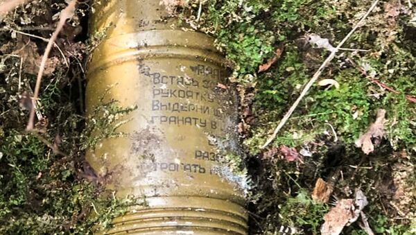 Сотрудники МЧС Абхазии обезвредили и уничтожили  РПГ–26 и РКГ-3 - Sputnik Абхазия