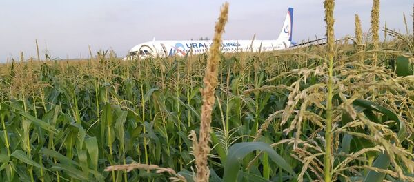 Пассажирский самолёт совершил жесткую посадку в Подмосковье Пассажирский самолёт совершил жесткую посадку в Подмосковье - Sputnik Абхазия