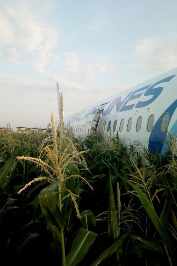 Самолет А-321 с пассажирами на борту совершил жесткую посадку в Подмосковье - Sputnik Абхазия
