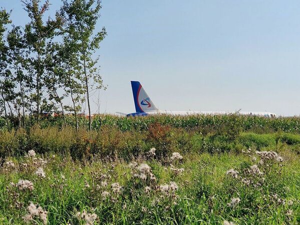 Последствия вынужденной посадки в Подмосковье лайнера Airbus А-321 авиакомпании Уральские авиалинии в результате попадания птиц в двигатели самолета - Sputnik Абхазия