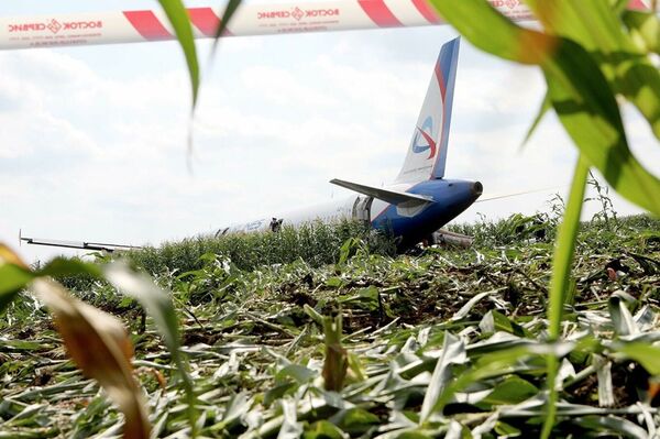 Последствия вынужденной посадки в Подмосковье лайнера Airbus А-321 авиакомпании Уральские авиалинии в результате попадания птиц в двигатели самолета - Sputnik Абхазия