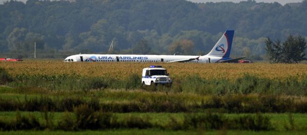 Пассажирский самолёт совершил аварийную посадку в Подмосковье Пассажирский самолёт совершил аварийную посадку в Подмосковье - Sputnik Абхазия