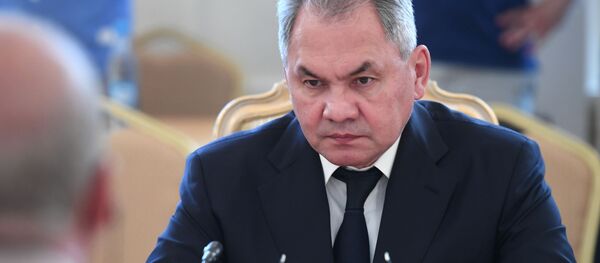 Министр обороны РФ Сергей Шойгу Министр обороны РФ Сергей Шойгу - Sputnik Абхазия