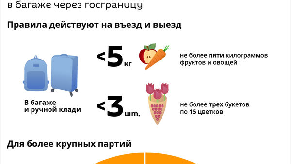 Фрукты, цветы и овощи: сколько можно провезти в Россию  - Sputnik Абхазия