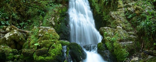 Аацытәи аӡхыҽҽа Аацытәи аӡхыҽҽа - Sputnik Аҧсны